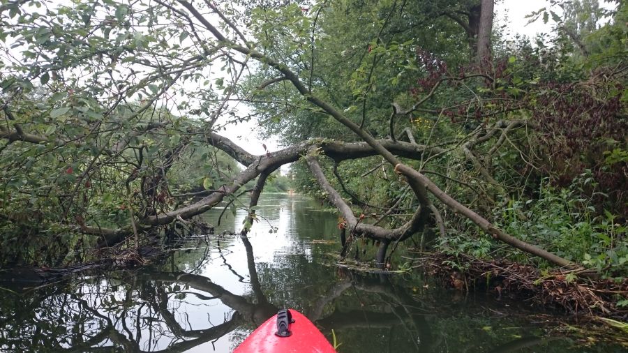 Drzewiasto
Spływ po rzece Liswarcie - Wrzesień 2015
