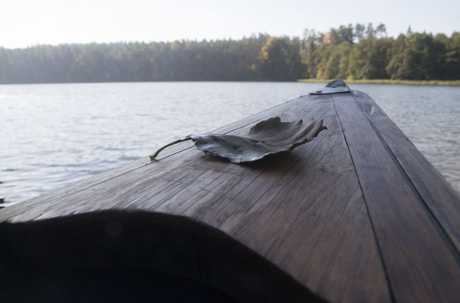 Człowiek z liściem na kanu
Płynął po jeziorze człowiek z liściem na kanu
Słowa kluczowe: Liść kanu