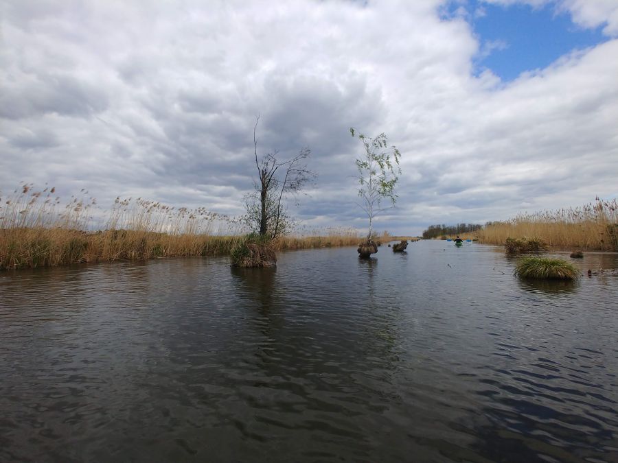 Jeziorkowa przygoda
rejony Głuchowa - rzeka Jeziorka koniec kwietnia
Słowa kluczowe: przygoda spływy relaks natura krajobraz kajakowanie rzeka kajak kajaki