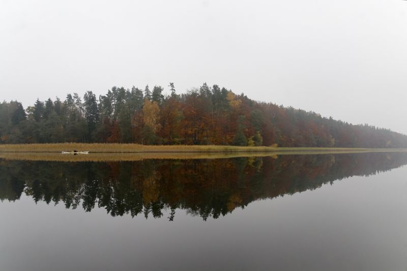 Jesienny Jeziorak 1
fot. Michał Torzecki

